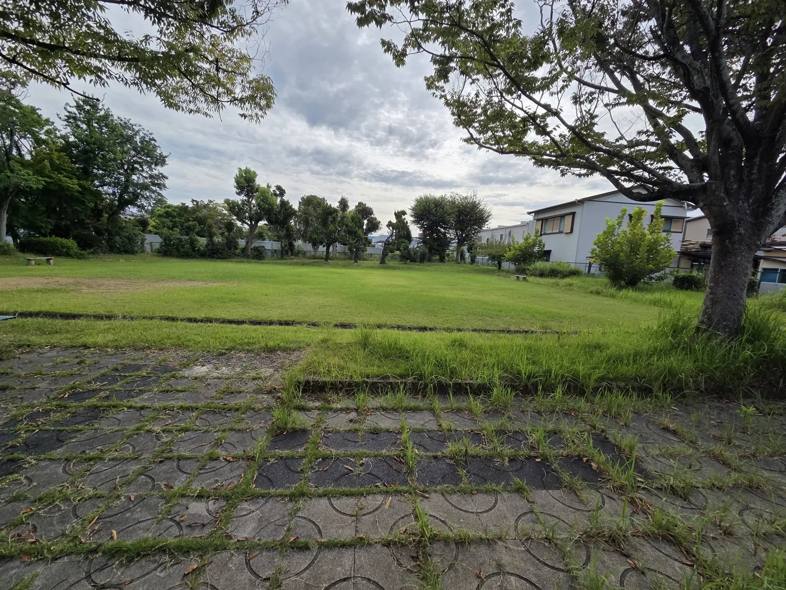 一番町公園：石畳の園路側から見た芝生広場