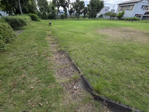 一番町公園：芝生広場（園路沿い）