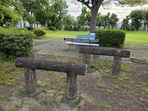 一番町公園：木製ベンチと丸太のベンチ