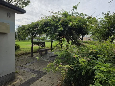 一番町公園：藤棚とベンチ