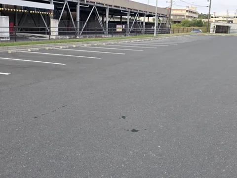 今之浦公園：白線区画のある舗装駐車場