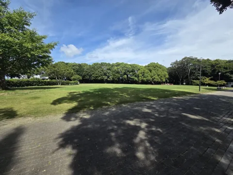 かぶと塚公園：芝生広場と周囲の樹林