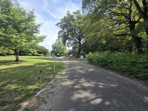 かぶと塚公園：園路と芝生広場