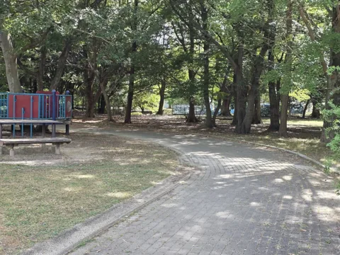 かぶと塚公園：遊具広場脇の園路と木立