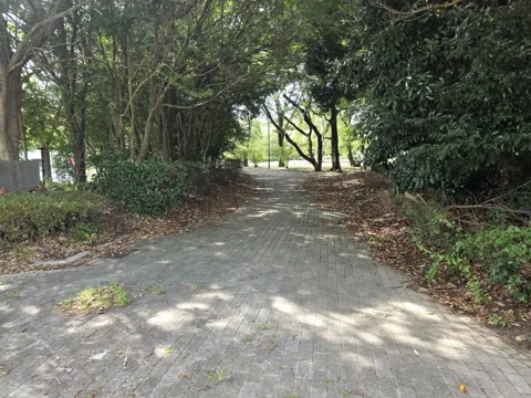 かぶと塚公園：樹林の中の園路（石畳）