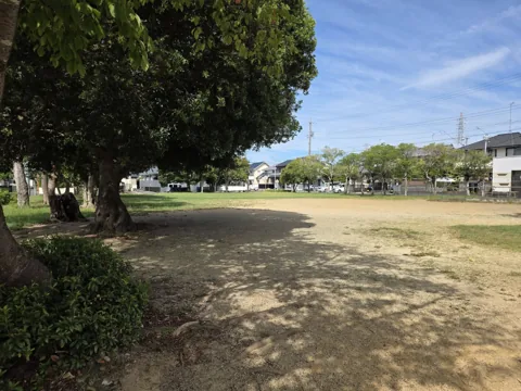 経塚公園：高木の木陰と広場（土と芝生）