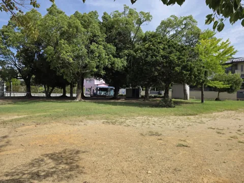 経塚公園：広場と高木の木立。奥にトイレ
