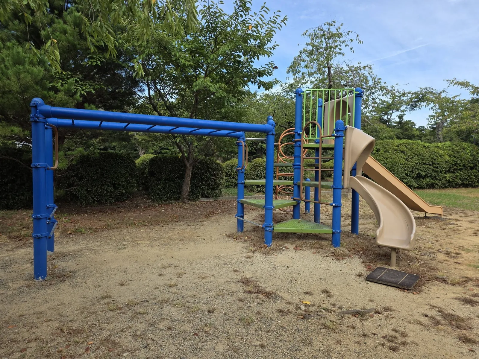 つつじ公園:複合遊具(すべり台・雲梯)