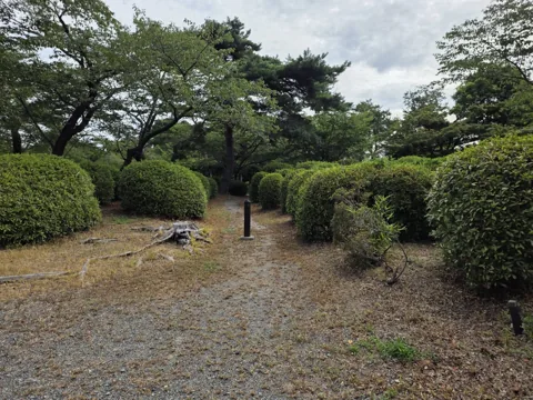 つつじ公園：つつじの植込みの間を通る園路