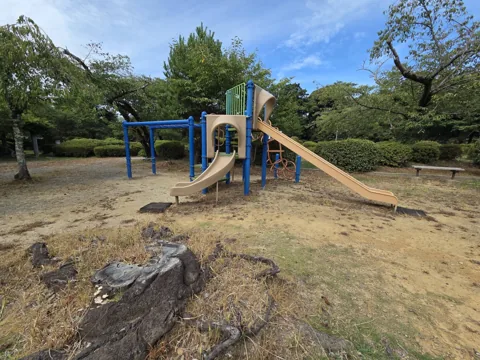 つつじ公園：複合遊具（すべり台2本・雲梯）