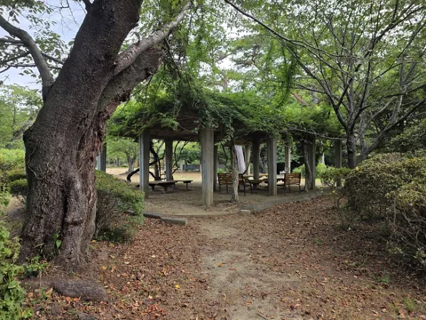 つつじ公園：藤棚の下のベンチとテーブル