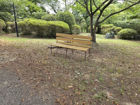 つつじ公園：ベンチと植込み