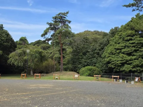 つつじ公園：ロープ柵のある広場と樹林