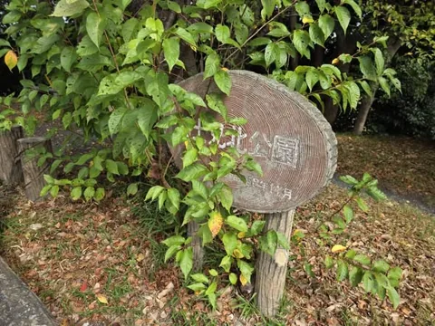 富士見北公園：園名板（木製・植込みの中）