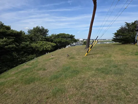 富士見北公園：芝生の丘の上から。奥に市街地