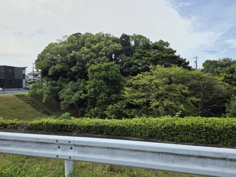 富士見北公園：道路（ガードレール）越しに見た公園の樹林と法面