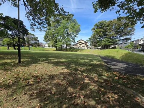 的場公園：芝生広場と園路