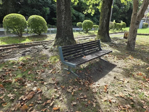 的場公園：木陰のベンチ