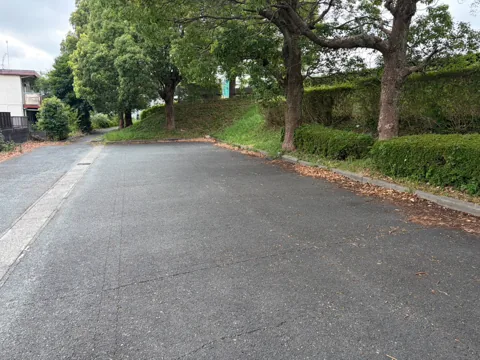 水堀公園：木々に沿って続く園内の舗装路