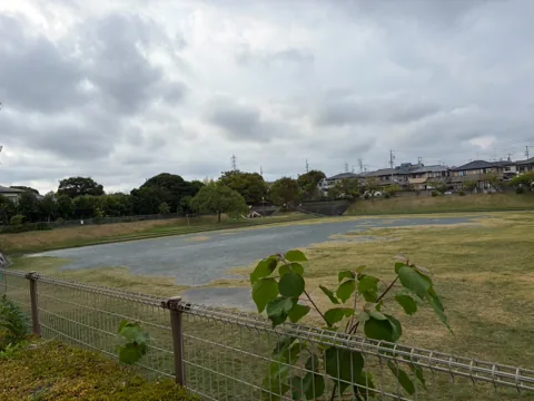 水堀公園：園外から見渡す芝生広場と遊具
