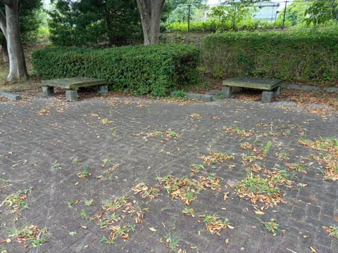 水堀公園：植栽沿いに並ぶベンチ
