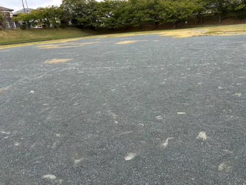 水堀公園：園内に広がる舗装された広場