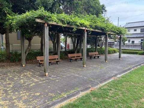 水堀東公園：藤棚の下に並ぶ木製ベンチ