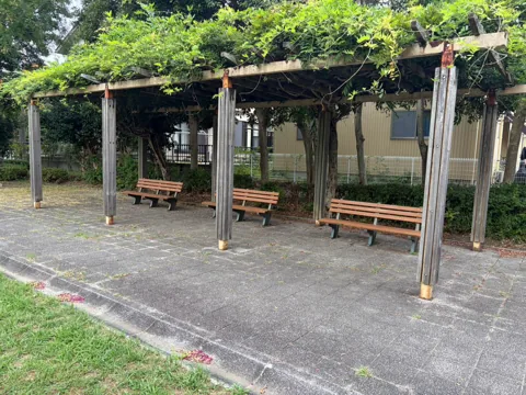 水堀東公園：別方向から見た藤棚とベンチ