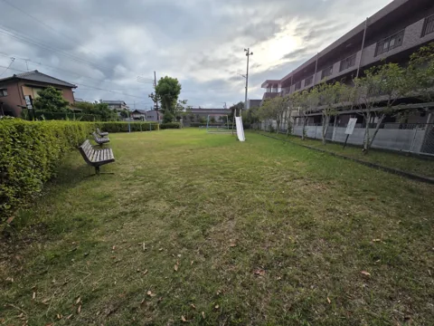 めがねばし公園：芝生広場とすべり台、ベンチを見渡す園内全景