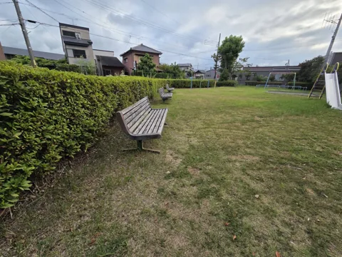 めがねばし公園：生垣沿いのベンチと芝生広場