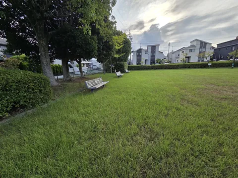 葦間公園：大きな樹木のそばに並ぶベンチと芝生広場