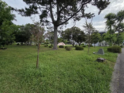 旭ヶ丘公園：園内全景。高木の下に芝生が広がり、奥に築山遊具