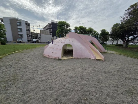 旭ヶ丘公園：築山型すべり台のトンネル側