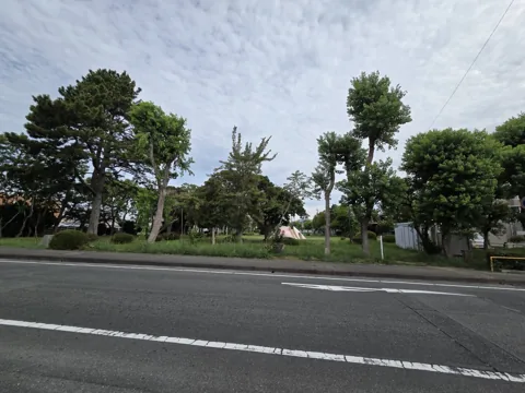 旭ヶ丘公園：前面道路の対岸から見た公園