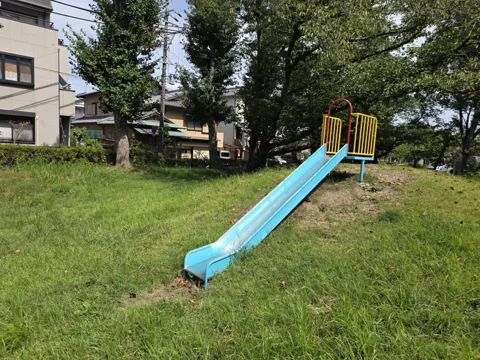 上野公園：すべり台（金属製）と芝生