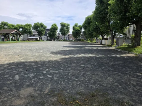 上野公園：土の広場と周囲の並木