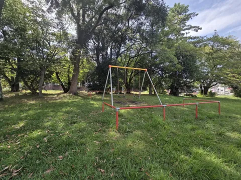 上野公園：ブランコと転落防止柵