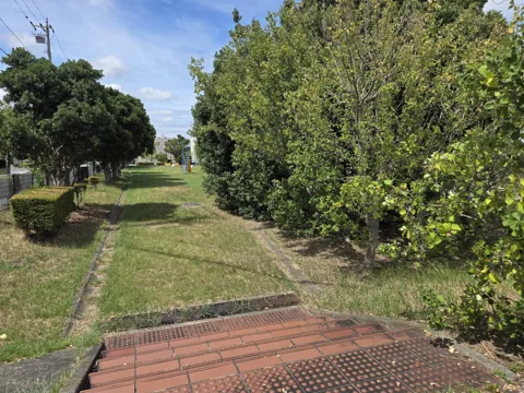北川瀬公園：外周の並木道（歩道）