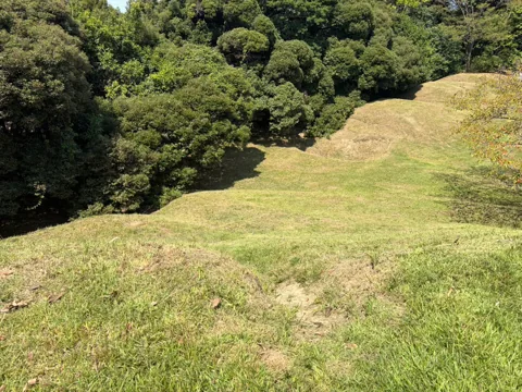 京見塚公園：樹林に囲まれた古墳の斜面