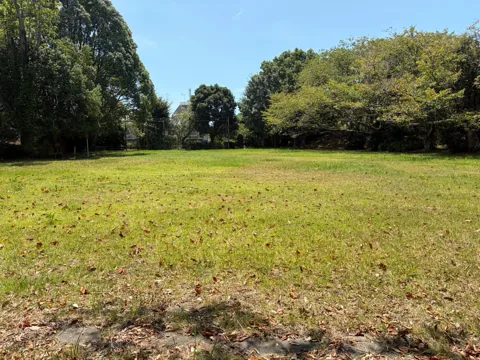 京見塚公園：樹木に囲まれた広い芝生