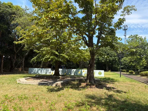 京見塚公園：大きな木と円形ベンチのある遊び場