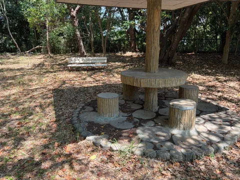 京見塚公園：木陰にある丸太風のテーブルと椅子
