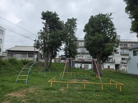 久保公園：太鼓橋型遊具、2連ブランコ、低い黄色の遊具