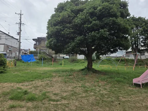 久保公園：芝生広場と大きな樹木、遊具