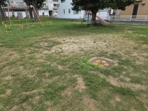久保公園：芝と土の広場にある円形の設備蓋