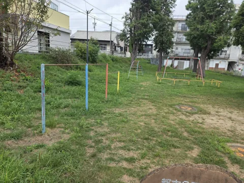 久保公園：鉄棒状の支柱と太鼓橋型遊具