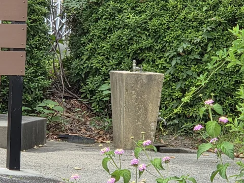 国府台西公園：園内のコンクリート製水飲み設備