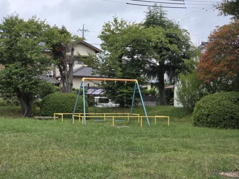 国府台西公園：小さなすべり台を備えた魚型クライミング遊具