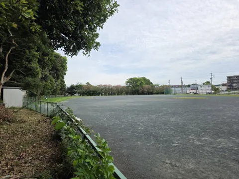 中央公園：樹木側から見た多目的グラウンド