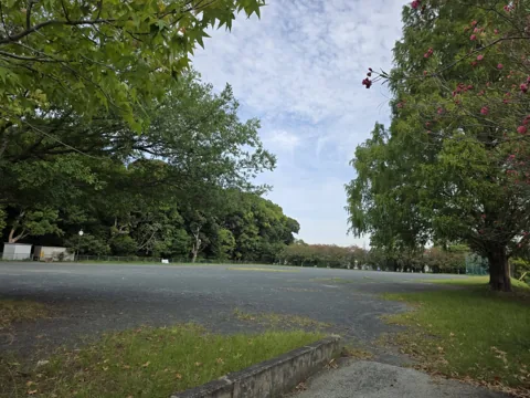 中央公園：園路側から見た多目的グラウンド
